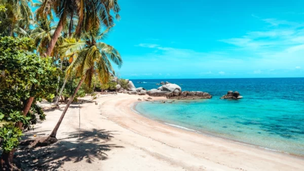 Haiti – 20 Tage – Unbegrenzt